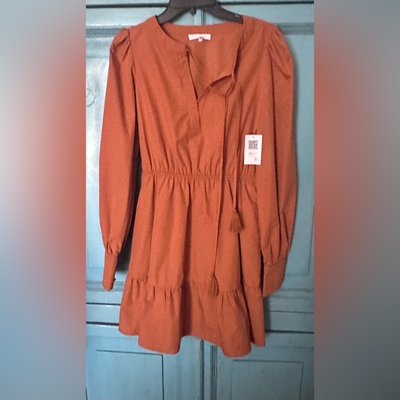 Ces Femme Dresses & Skirts - Ces Femme Rust Long Sleeve Dress